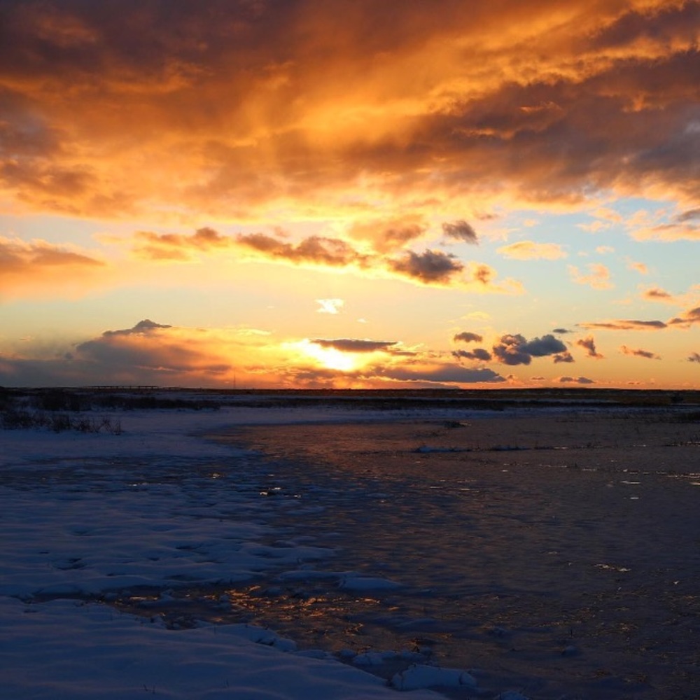 Meet your Posher, Arlina